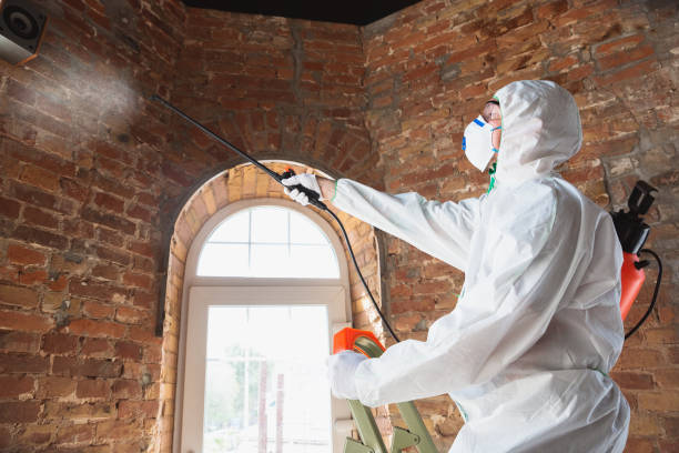 Professional Mold Removal in Oakland, NJ