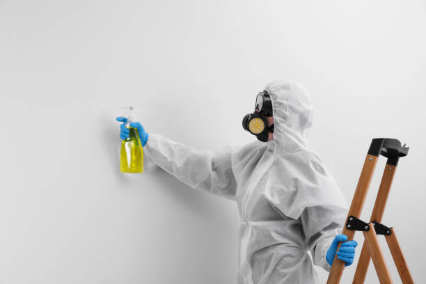 Why You Should Choose Our Mold Remediation Services in Oakland, NJ